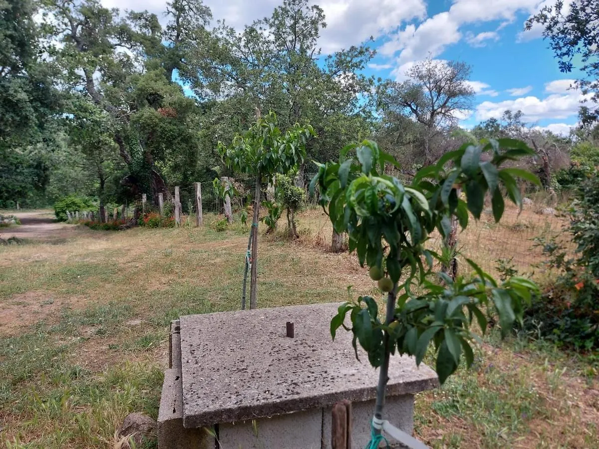 Agriturismo Pranu Sorgono