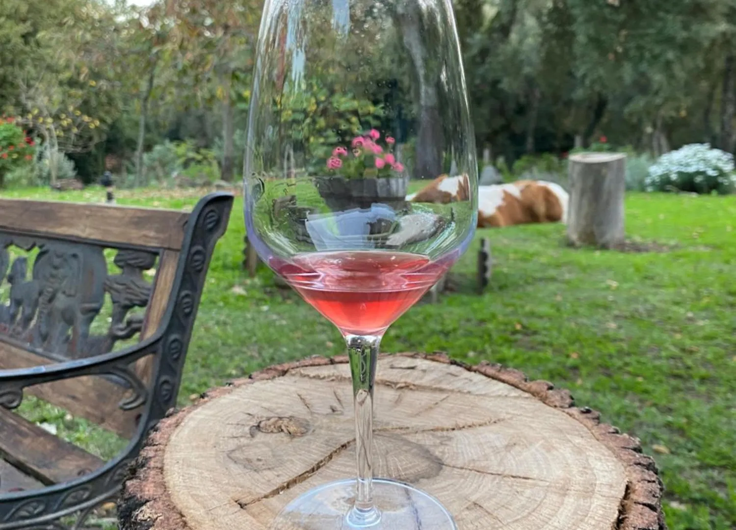 Alloggio per agriturismo Agriturismo Pranu Sorgono