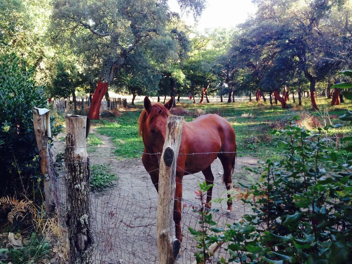 Agriturismo Pranu Sorgono Alloggio per agriturismo