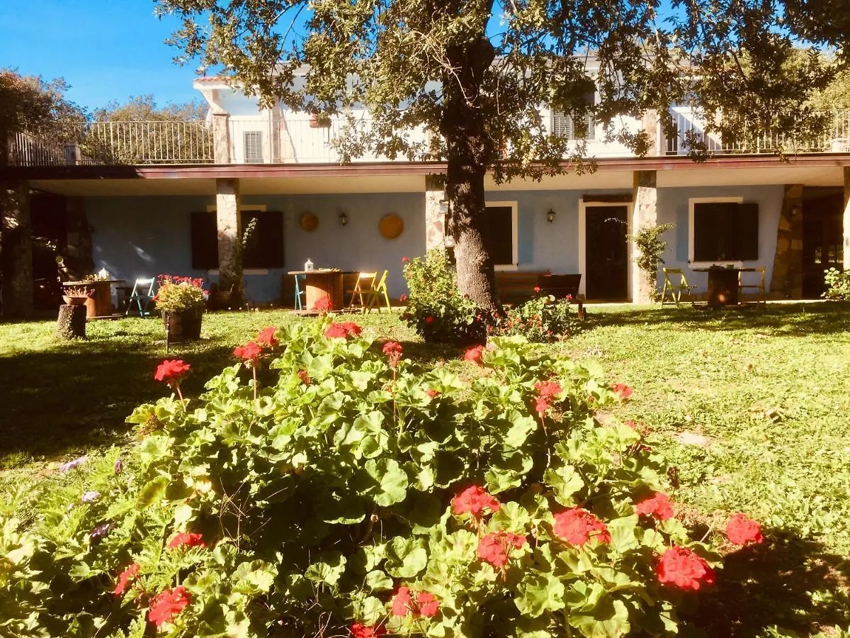 Agriturismo Pranu Sorgono Alloggio per agriturismo