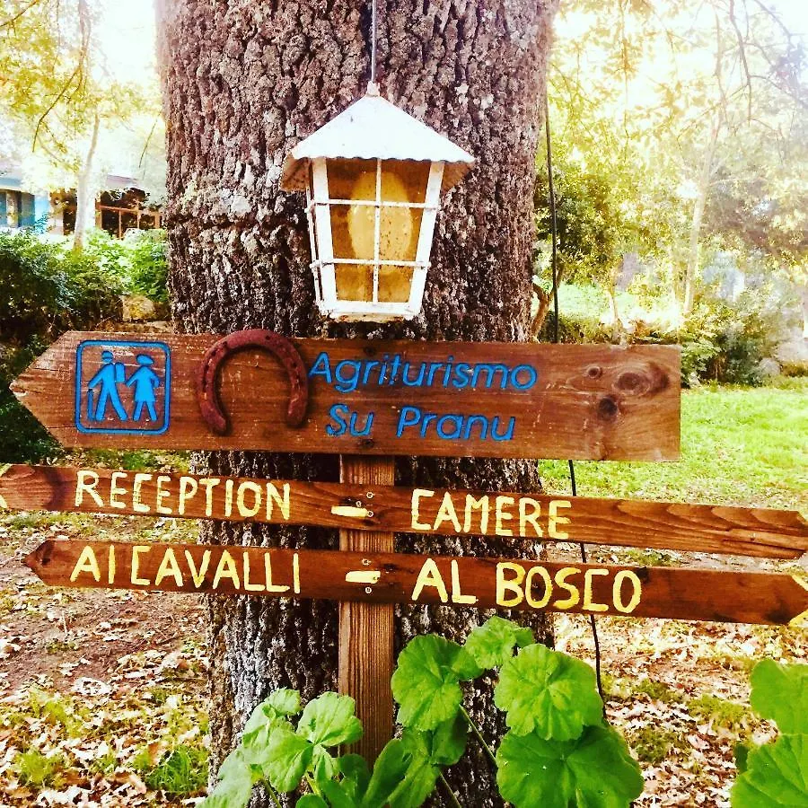 Agriturismo Pranu Sorgono