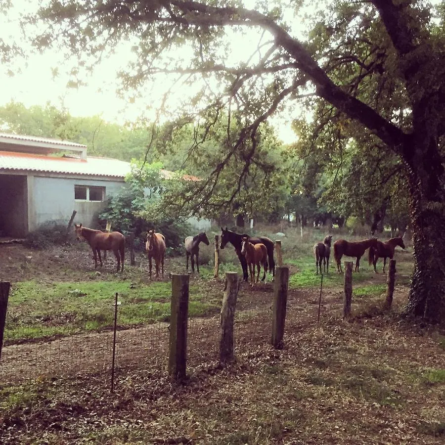 Agriturismo Pranu Sorgono